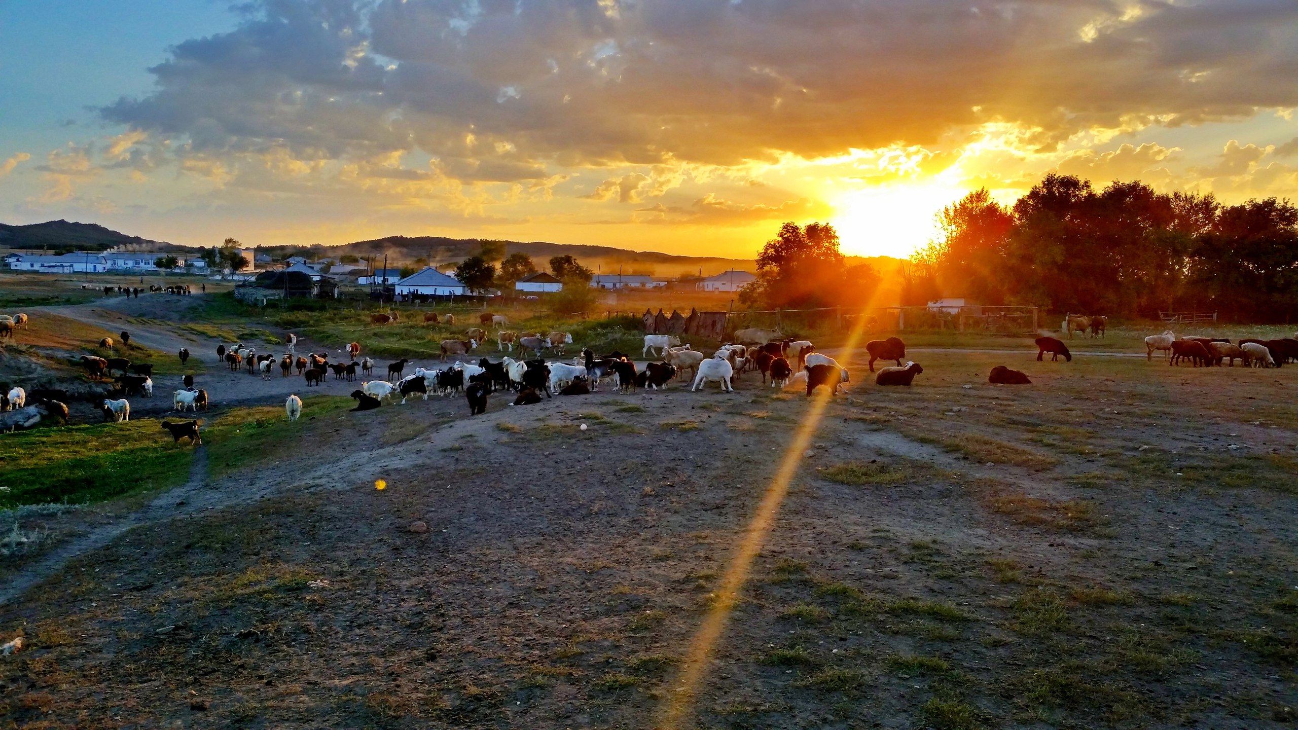 پاۆلودار وبلىسىندا 14 اۋىلدى ينتەرنەتكە قوسۋعا مۇمكىندىك جوق