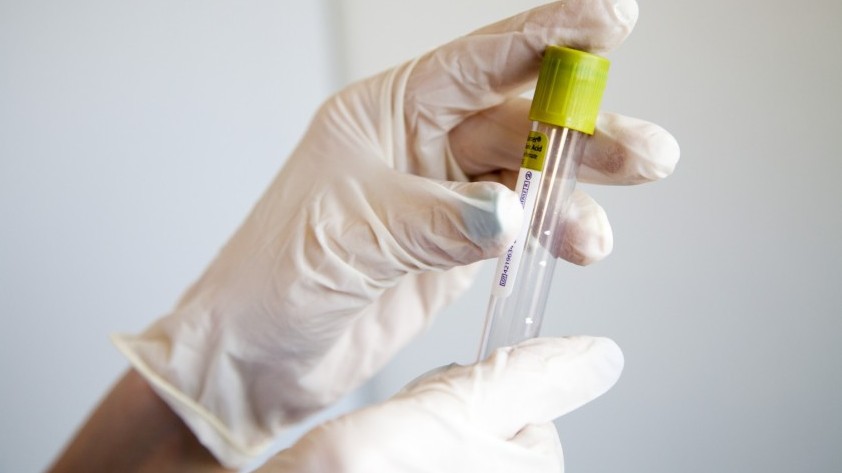 قىزىلوردا: ناۋقاستاردىڭ جاعدايى قالىپتى