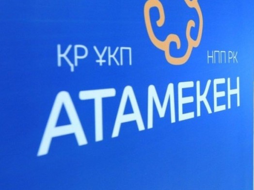 كاسىپكەرلەر جاعدايى «اتامەكەن» ۇلتتىق كاسىپكەرلەر پالاتاسىنىڭ نازارىندا