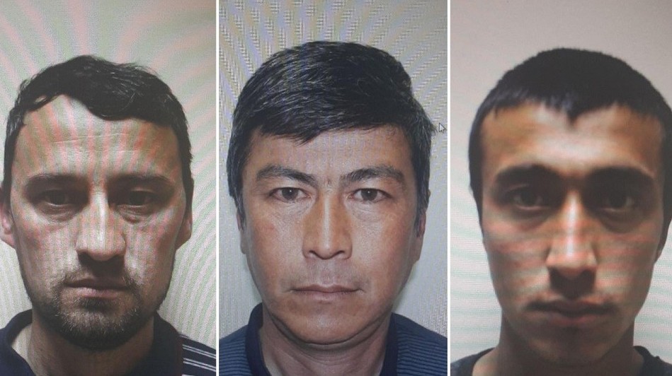 الماتىعا بوي تاسالاپ كىرمەك بولعان شەتەل ازاماتتارى ۇستالدى