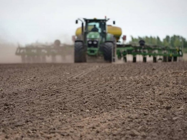 پاۆلودار وبلىسىندا ءداندى داقىلدار ەگۋ مامىردىڭ 15-نەن كەيىن باستالادى