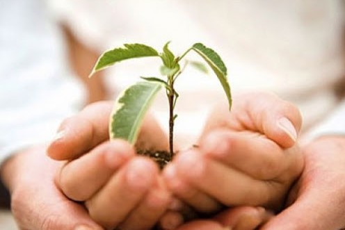 اقمولادان ەلورداعا «جىلى جۇرەك» كەرۋەنى اتتاندى