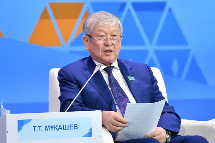 سەنات: شاعىن جانە ورتا بيزنەستى قولداۋ تاپسىرىلدى