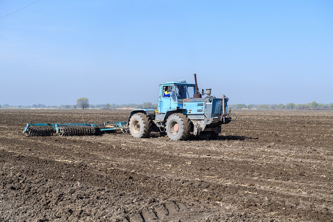 جەتىسۋداعى ەگىستىك القابى 966,5 مىڭ گەكتارعا ۇلعايدى