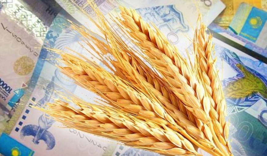 اۋىل شارۋاشىلىعىن دامىتۋ ءۇشىن جەڭىلدەتىلگەن نەسيە بەرىلەدى