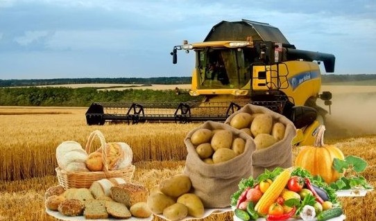 اگروونەركاسىپ كەشەنىنە  173 ملرد تەڭگە بولىنەدى