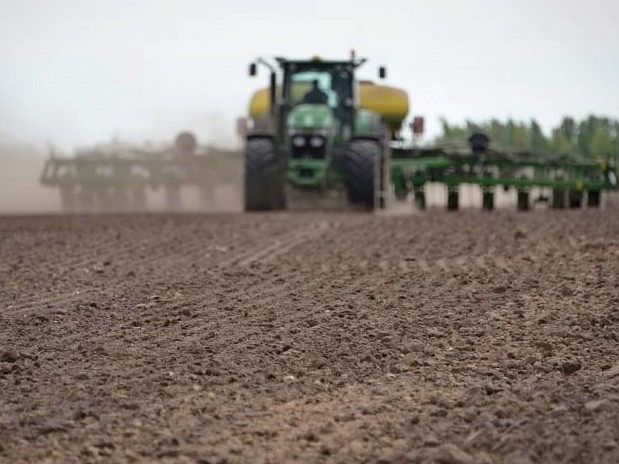 جامبىل وبلىسى: قانت قىزىلشاسىن وتكىزۋ ماسەلەسى وزەكتى