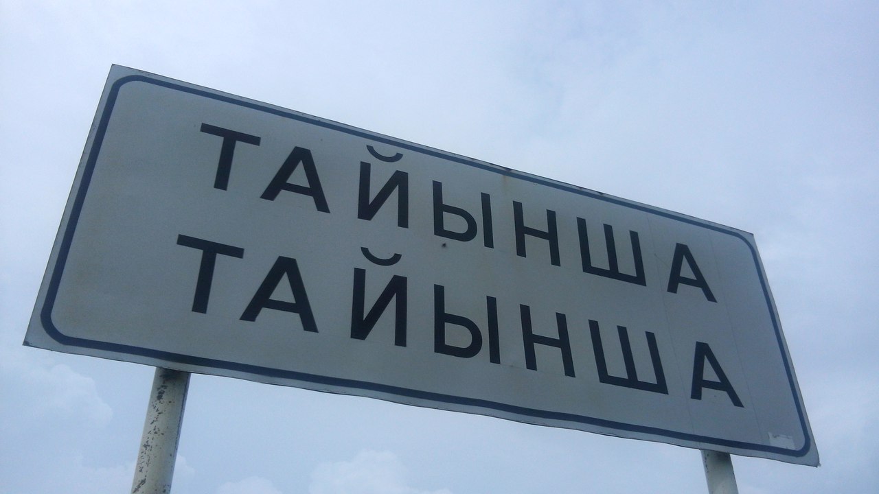 تج رەجىمىن ويىنشىق كورەتىندەر كوپ