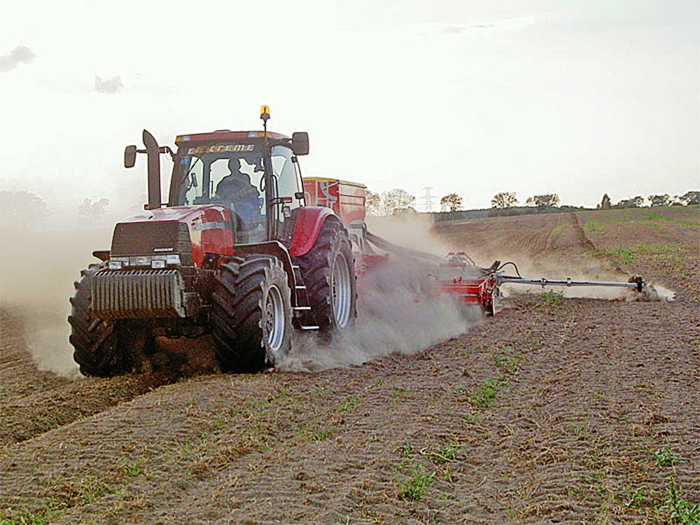 كوكتەمگى ەگىسكە كوپ قالعان جوق