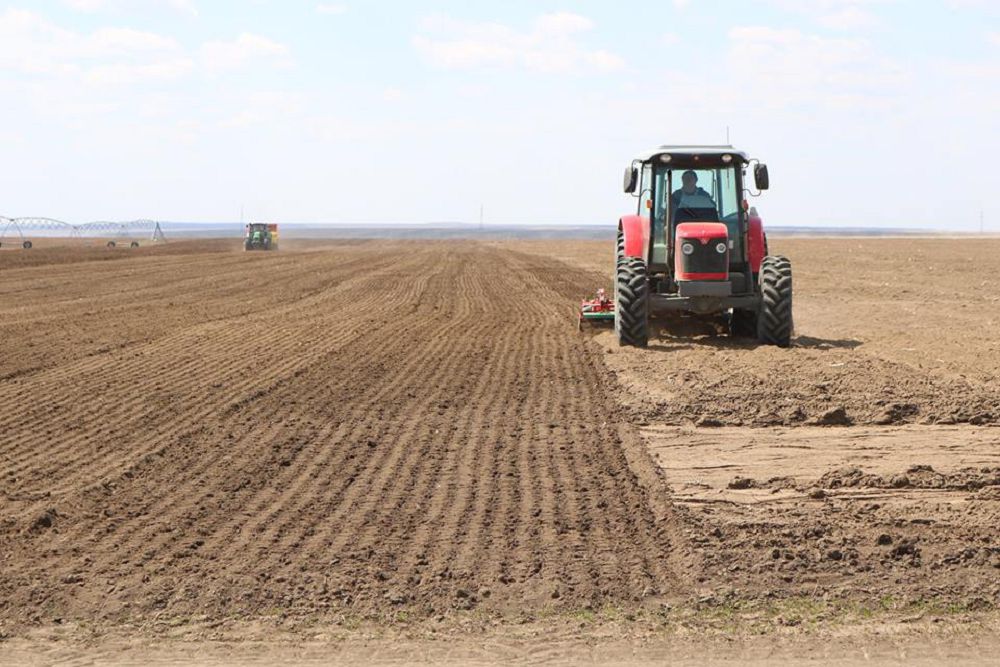 سىر ديقاندارى سويا وسىرۋگە دەن قويدى