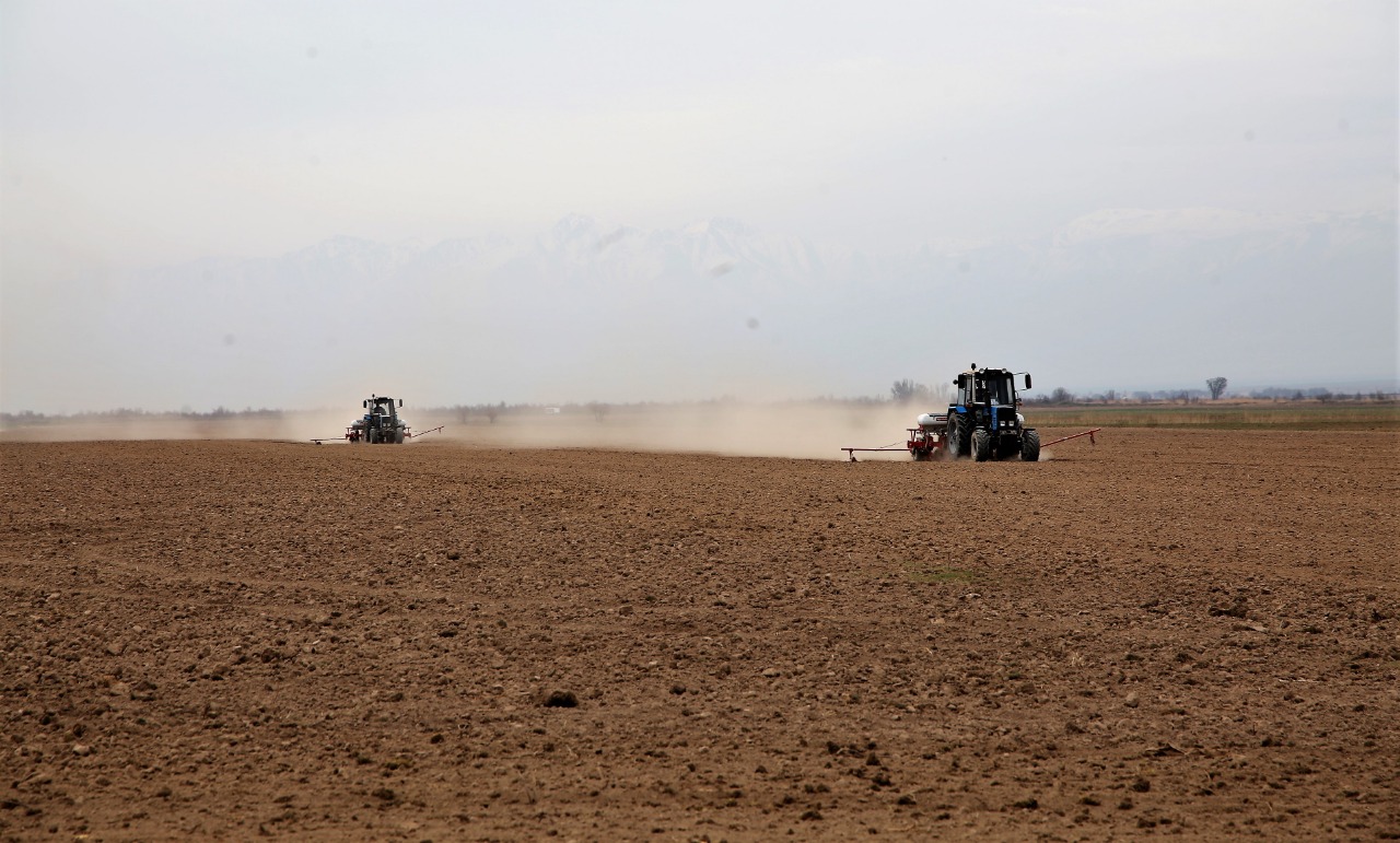 جامبىل وڭىرىندە كوكتەمگى ەگىس دالا جۇمىستارى جۇرگىزىلۋدە