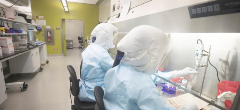 كوكشەتاۋدا جاڭا قوندىرعىلار قۇراستىرىلادى