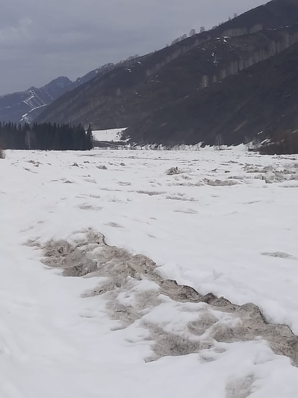 مۇ