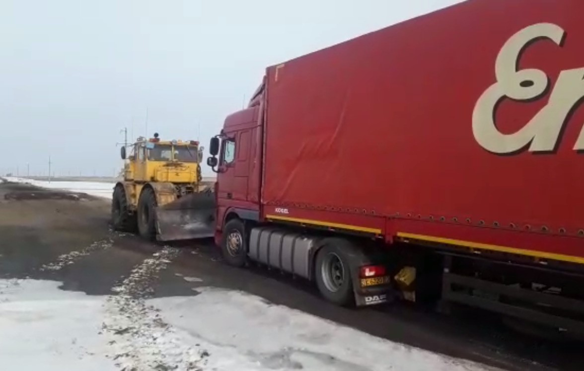 سولتۇستىك قازاقستاندىق ساقشىلار جۇك كولىكتەرىن قۇتقاردى