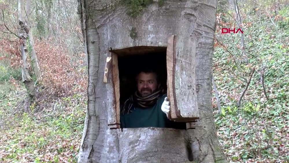 كوروناۆيرۋستان قاشىپ, اعاشقا تىعىلدى