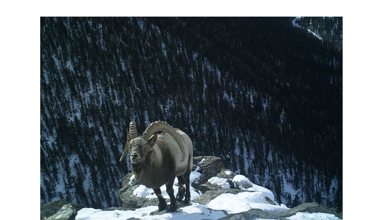 تاۋتەكە سانىن قالاي كوبەيتەمىز؟