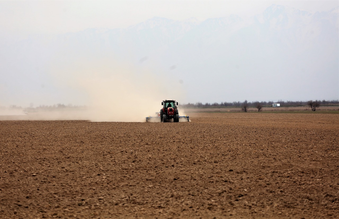 كوكتەمگى دالا جۇمىستارىنا دايىندىق قانداي؟