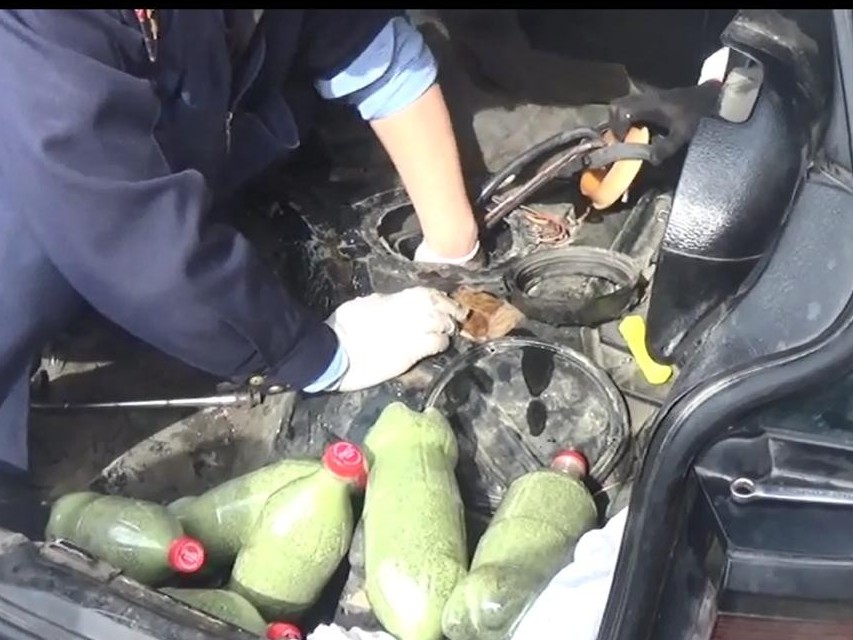 قىزىلوردا: ىرى مولشەردە ەسىرتكى تاسىمالداۋشى ۇستالدى