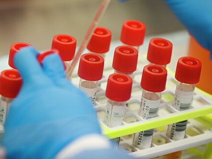 تۇركىستان: ىندەت جۇقتىرعانداردىڭ التاۋى ءبىر وتباسىدان