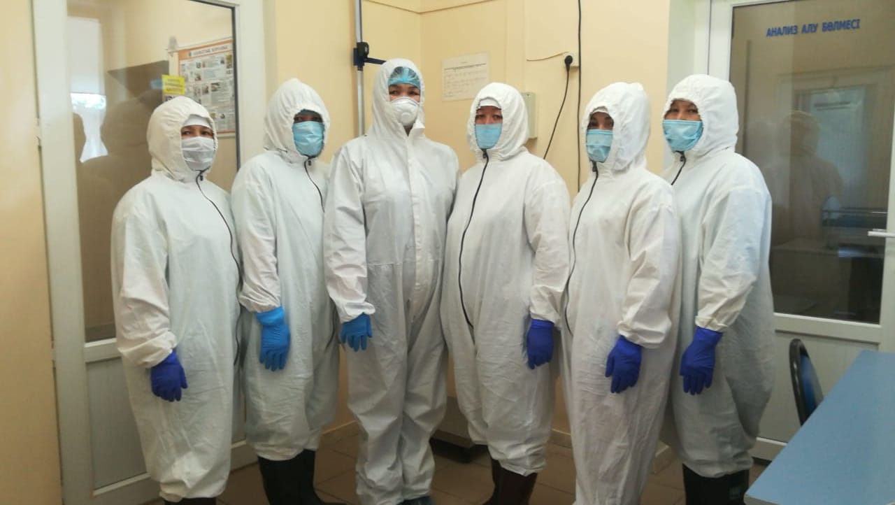 تۇركىستان وبلىسىندا 1994 دارىگەر ۇستەماقى الدى