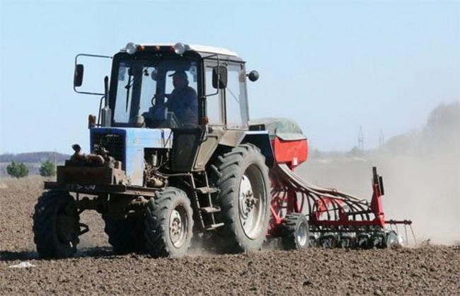 قىزىلوردا: ەگىس جۇمىستارى كەشەۋىلدەمەيدى