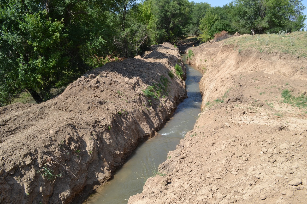 تۇركىستان: ارىق-اتىز تازالانىپ, اۋىل تۇرعىندارىنىڭ قۋانىشىندا شەك جوق