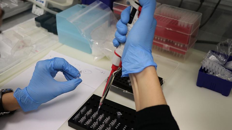 قىزىلوردا: بۇگىن تاعى 2 ناۋقاس جازىلىپ شىقتى