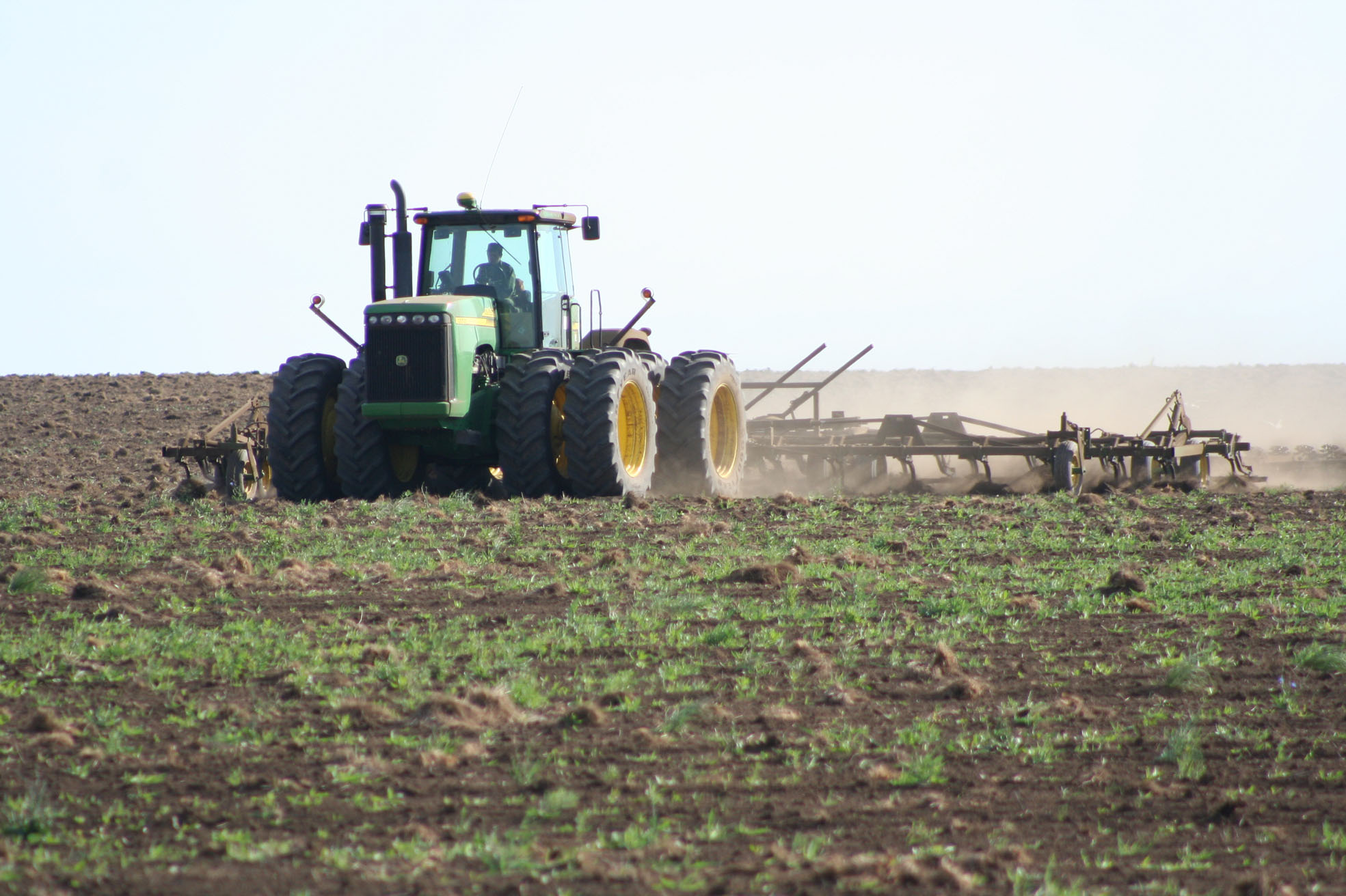 اقمولا وبلىسىندا 4,9 ملن گەكتارعا ەگىن ەگىلەدى