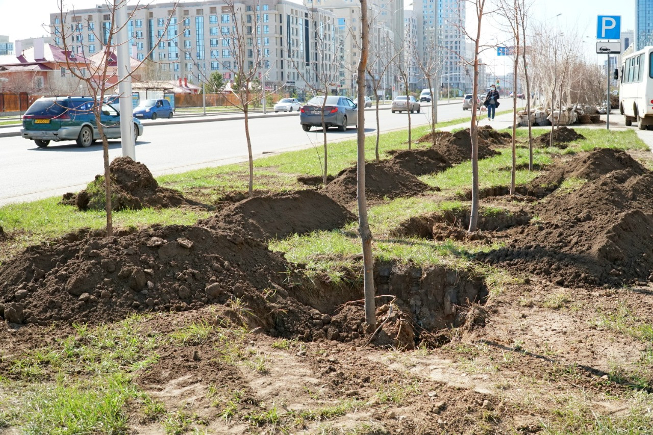 نۇر-سۇلتان قالاسىندا اعاش وتىرعىزۋ جالعاسۋدا