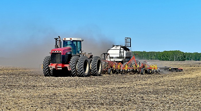 قوستاناي وبلىسى: كارانتين كوكتەمگى ەگىس ناۋقانىنا كەدەرگى ەتپەيدى