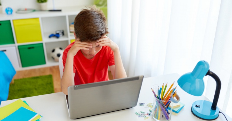 كوكشەتاۋلىقتار قىلقالامعا قۇشتار