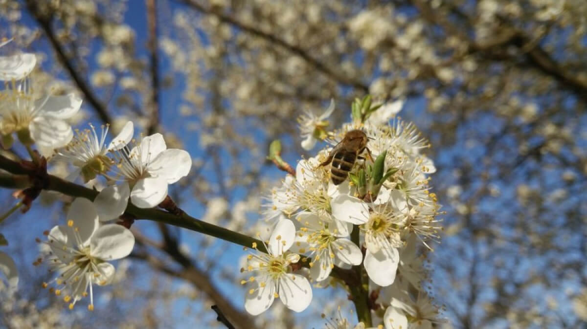نۇر-سۇلتان, الماتى جانە شىمكەنت قالالارىندا جاۋىن-شاشىنسىز اۋا رايى كۇتىلەدى