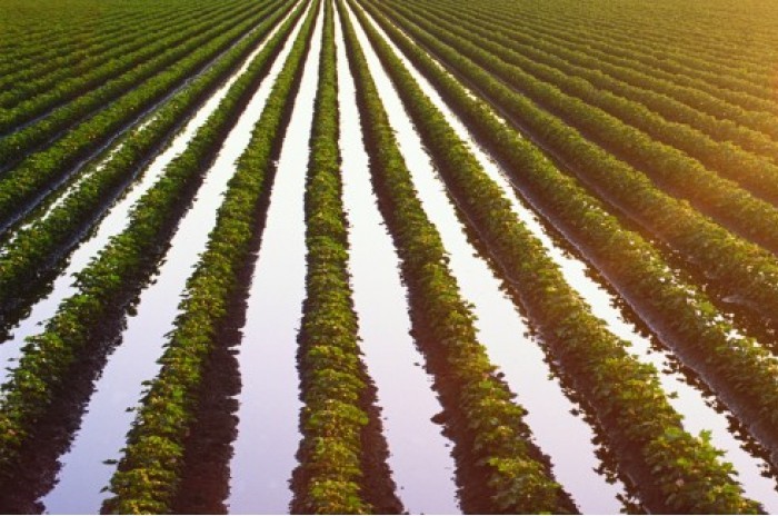 قازاقستاندا سۋارمالى جەرلەر قايتا قالپىنا كەلتىرىلەدى