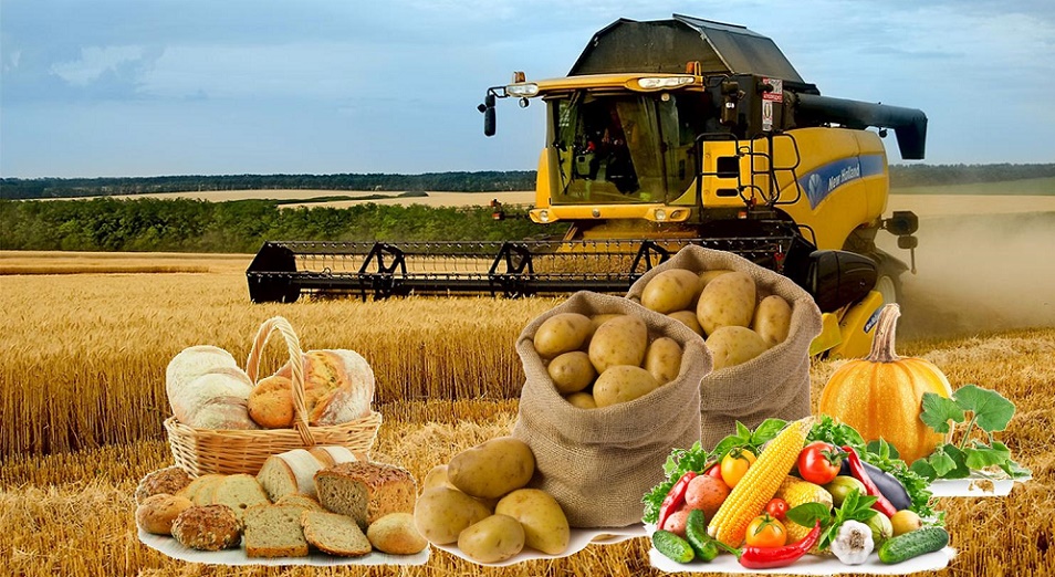 اۋىل شارۋاشىلىعى تەحنيكاسىن باستاپقى جارناسىز 6 پايىزبەن الۋعا بولادى