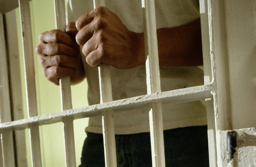 اقمولادا تۇرمەدەن بوساعاندار ۇيلەرىنە دەيىن جەتكىزىلۋدە