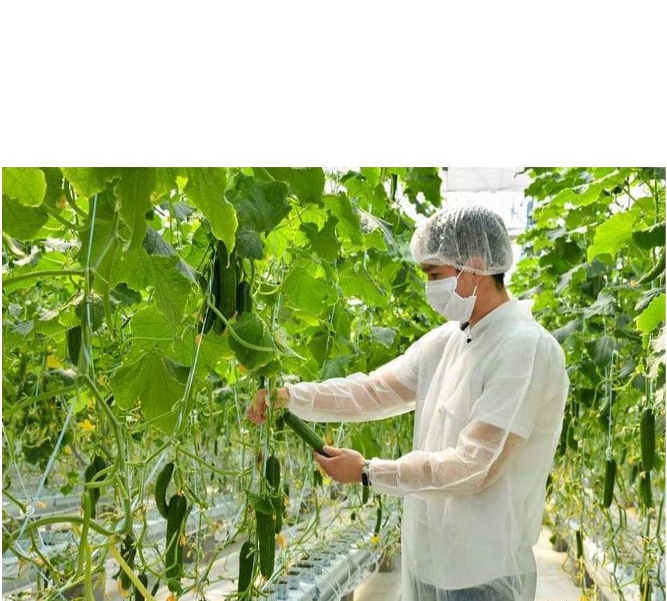 اگروسەكتوردىڭ ورتالىعىنا اينالادى