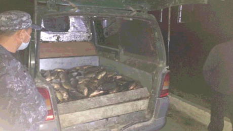 تۇركىستان: بالىق اۋلاعان براكونەرلەر ۇستالدى