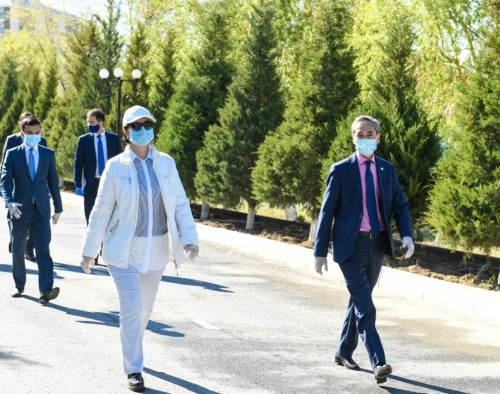 قىزىلوردا وبلىسىنىڭ اكىمى ەپيدەميولوگيالىق احۋالى اۋىر اۋدانداردا بولدى