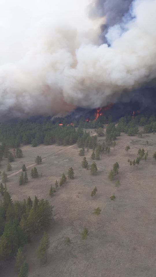 شىعىس قازاقستان: «سەمەي ورمانى» رەزەرۆاتىندا ءورت شىقتى