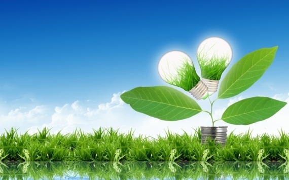 بۇۇ دامۋ باعدارلاماسى «جاسىل» جوبالاردى قارجىلاندىرادى