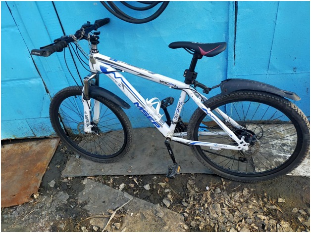 قوس دوڭگەلەكتى كوك تۇلپار...