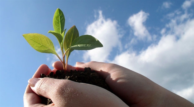 قالا تازالىعى بارشاعا ورتاق