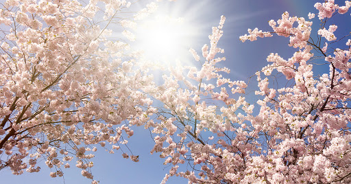 وقشاۋلانعانداعى ويلار