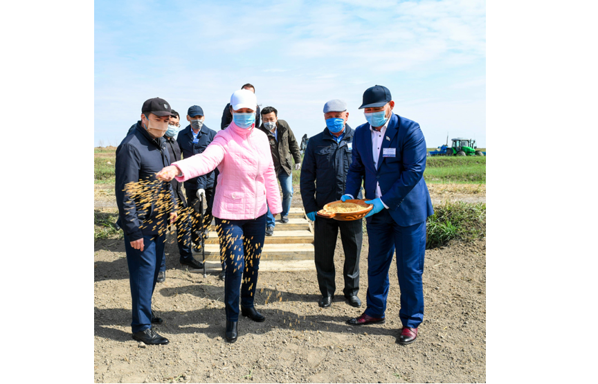 «دالا كۇنى»: العاشقى ءدان سەبىلدى