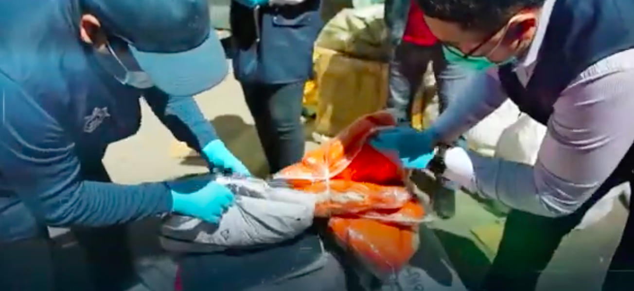 زاتتىق ايعاق رەتىندە تاركىلەنگەن كيىم-كەشەك ۇلەستىرىپ بەرىلدى