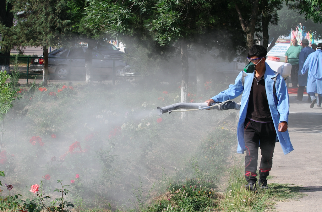 شىمكەنتتە كەنەگە قارسى زالالسىزداندىرۋ جۇمىستارى ءجۇرىپ جاتىر