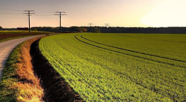 اتىراۋ: اسكەري پوليگوننان 624 مىڭ گەكتار جەر قايتارىلدى