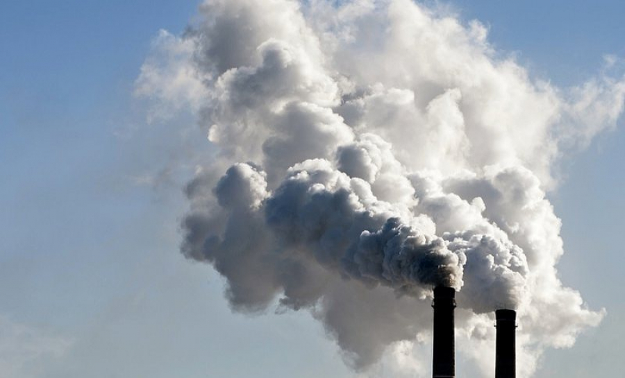 ەكوكودەكستى قابىلداۋدى كەيىنگە شەگەرۋ قورشاعان ورتاعا زيان اكەلەدى