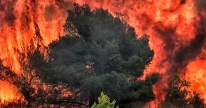 ساۋاپتى كۇيدىرەتىن - كۇنا