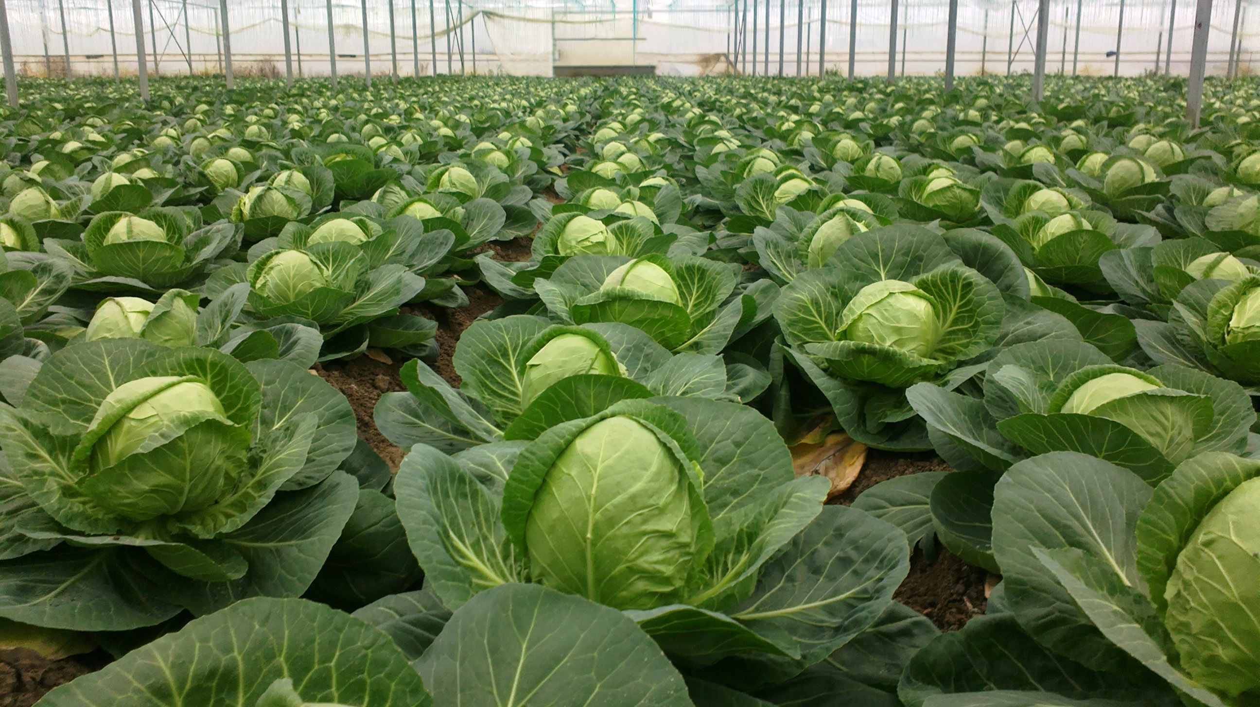 لوگيستيكالىق قويمالاردىڭ قاجەتتىگى مەملەكەتتىك دەڭگەيدە مويىندالدى